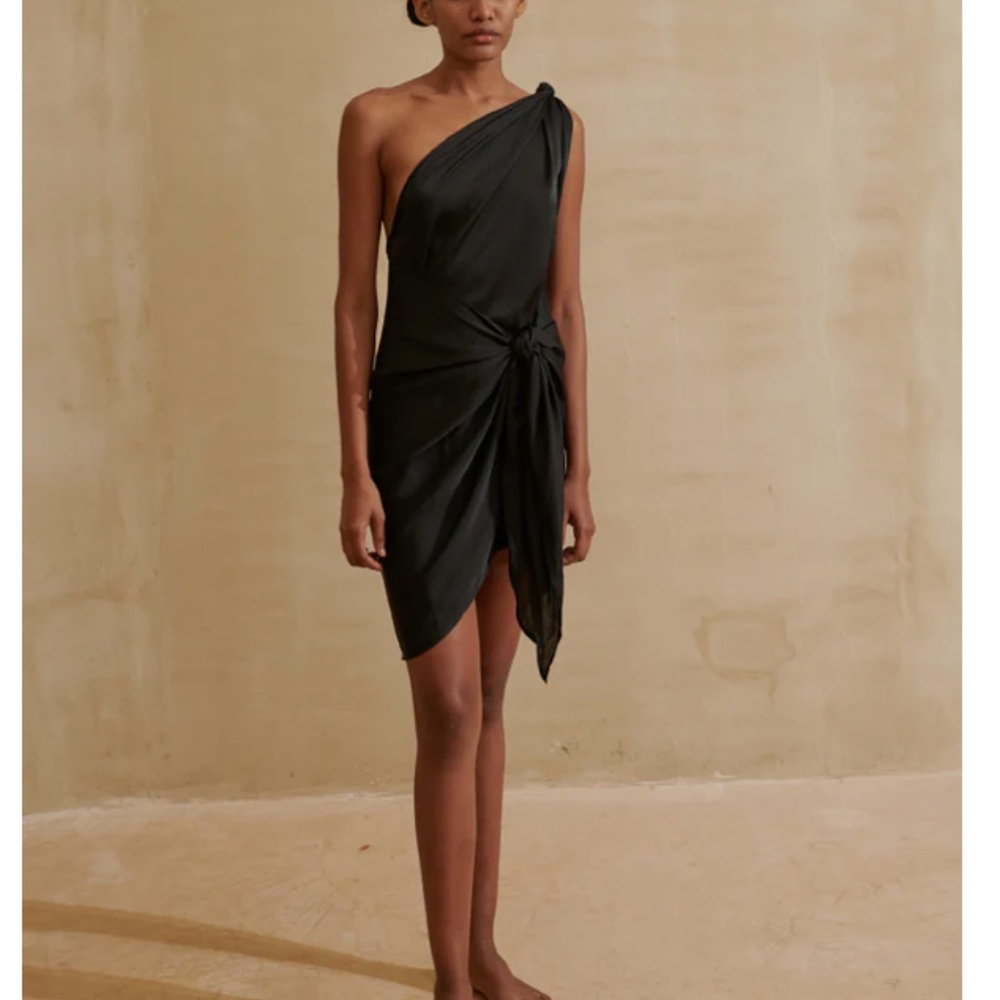 NWT Marea Dress
